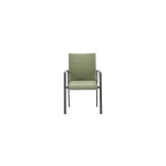 Dallas dining fauteuil carbon black/ moss green - Garden impressions