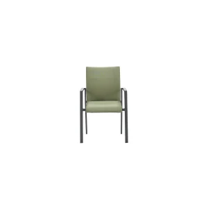 Dallas dining fauteuil carbon black/ moss green - Garden impressions
