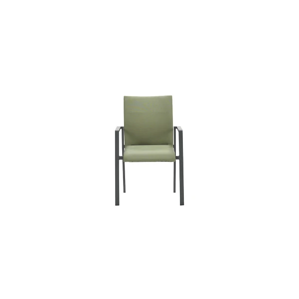 Dallas dining fauteuil carbon black/ moss green - Garden impressions