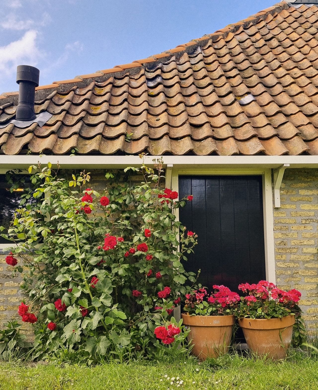 tuin set wensen