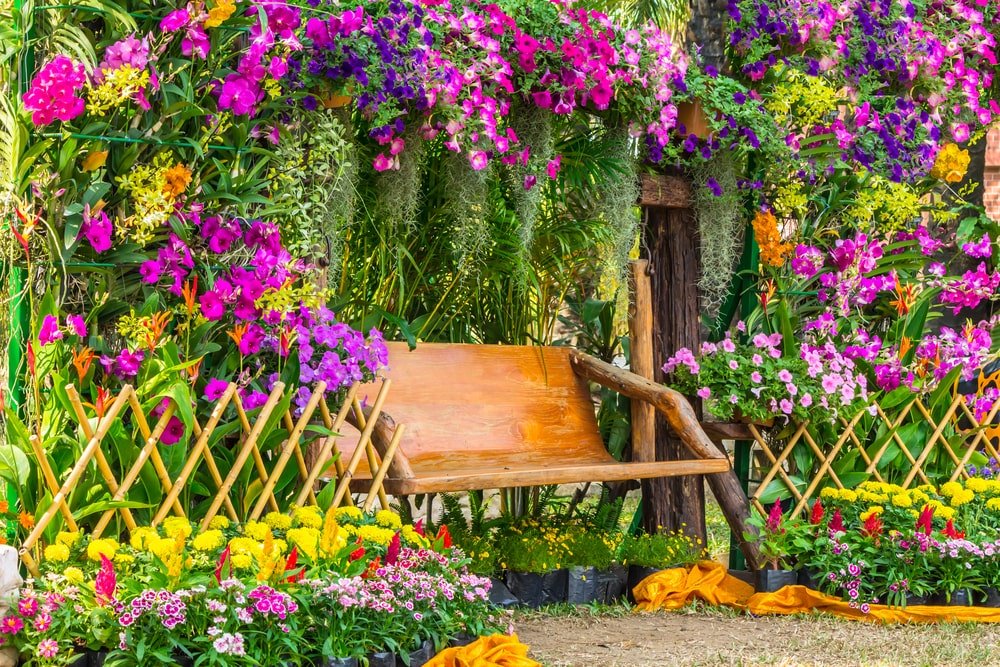 Geef jouw tuin kleur met deze twee tips