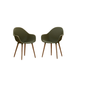 Annestad dining chair green/teak look Eurofar - Eurofar