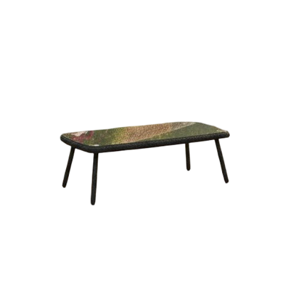 Jonah coffee table 100x50x35 dark grey steel/wicker dark grey Eurofar - Eurofar